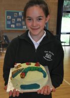 caterpillar cake