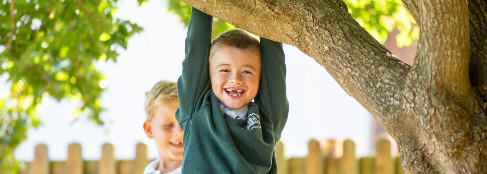 young school boy hanging from a tree