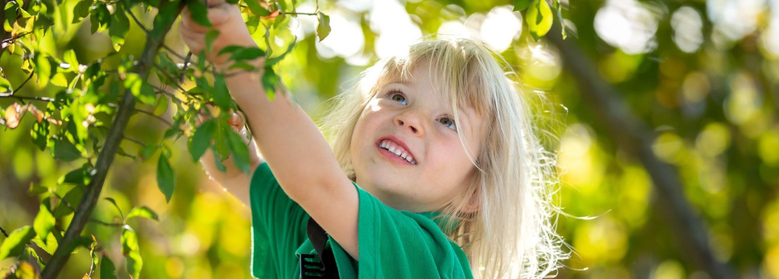 Child climbing trees