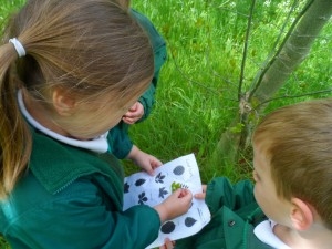 children looking for leaves outdoors