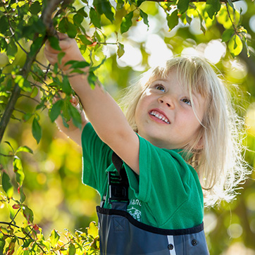 Early Years Forest School