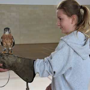Student holding a falcon on their hand
