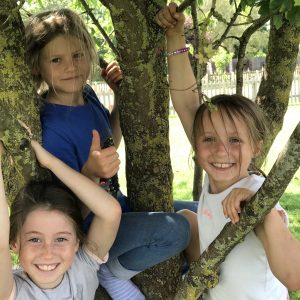 students in the tree