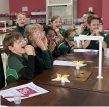 students watching a science experiment